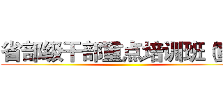 省部级干部重点培训班（宣） ()