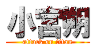 小宮朔 (attack on titan)