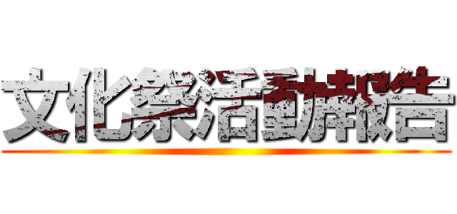 文化祭活動報告 ()