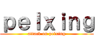 ｐｅｌｘｉｎｇ (attack on pelxing)