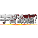 宇智波騙你 (2樓:宇智波被騙)