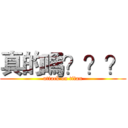 真的嗎？？？ (attack on titan)