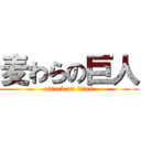 麦わらの巨人 (attack on titan)