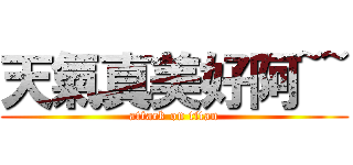 天氣真美好阿~~ (attack on titan)