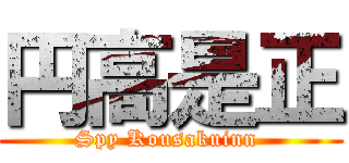 円高是正 (Spy Kousakuinn )