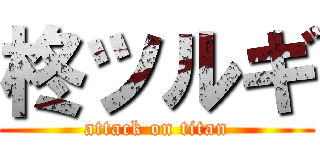 柊ツルギ (attack on titan)