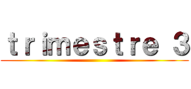 ｔｒｉｍｅｓｔｒｅ ３ ()
