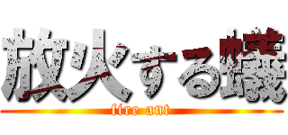 放火する蟻 (fire ant)