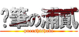 煞筆の浦貳 (puershishabi)