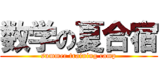 数学の夏合宿 (summer training camp)