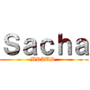 Ｓａｃｈａ (BRAUS )