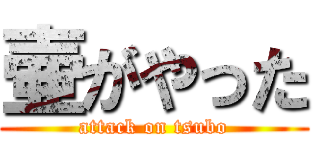 壷がやった (attack on tsubo)