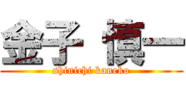 金子 慎一 (shinichi kaneko)
