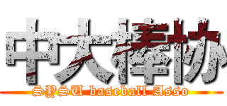中大棒协 (SYSU baseball Asso)
