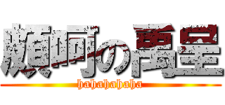 頗呵の禹呈 (hahahahaha)