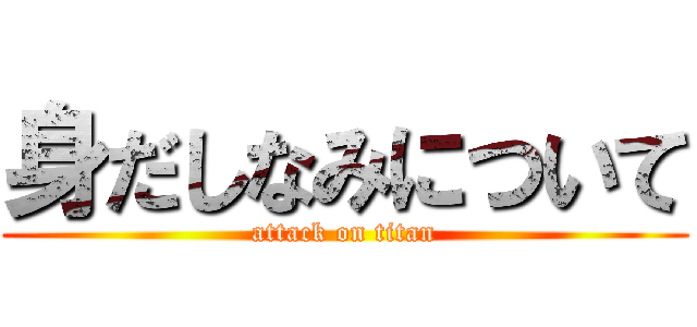 身だしなみについて (attack on titan)