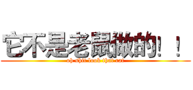 它不是老鼠做的！！ (oh shit look that rat)