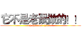 它不是老鼠做的！！ (oh shit look that rat)