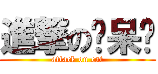 進撃の洨呆貓 (attack on cat)