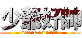少爺好帥 (attack on titan)