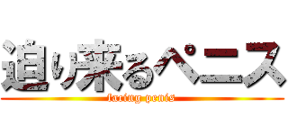 迫り来るペニス (facing penis)