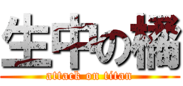 生中の橘 (attack on titan)