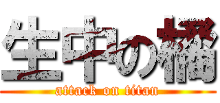 生中の橘 (attack on titan)