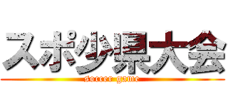 スポ少県大会 (soccer game)