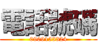 電話號碼 (0909153324)