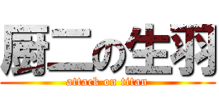 厨二の生羽 (attack on titan)
