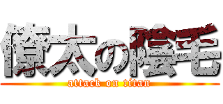 僚太の陰毛 (attack on titan)