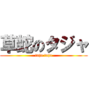 草蛇のタジャ (taja taja)