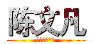 陈文凡 (组长（纪律）)