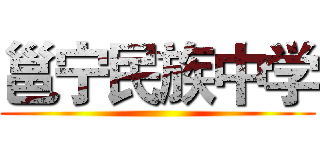 邕宁民族中学 ()