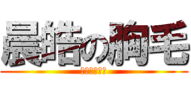 晨皓の胸毛 (胸毛胸毛胸毛)