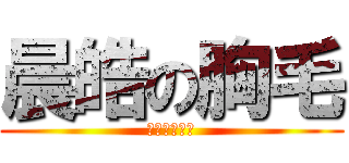 晨皓の胸毛 (胸毛胸毛胸毛)