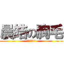 晨皓の胸毛 (胸毛胸毛胸毛)