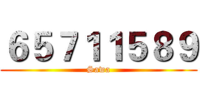 ６５７１１５８９ (Sawa)