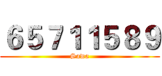 ６５７１１５８９ (Sawa)