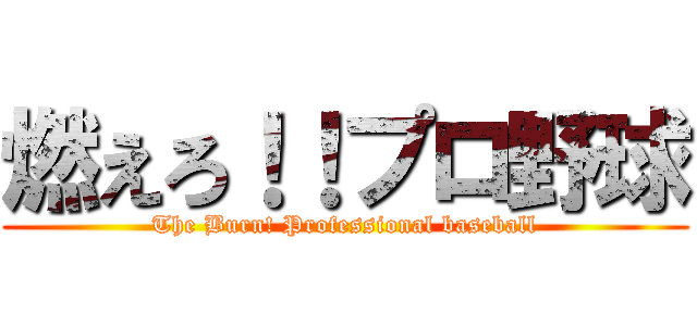 燃えろ！！プロ野球 (The Burn! Professional baseball)