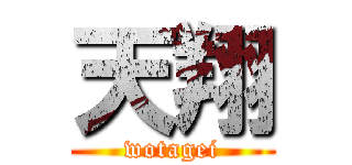 天翔 (wotagei)