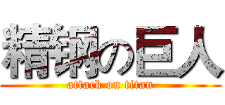 精钢の巨人 (attack on titan)