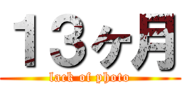 １３ヶ月 (lack of photo)