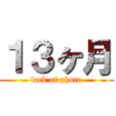 １３ヶ月 (lack of photo)