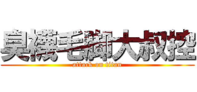 臭襪毛脚大叔控 (attack on titan)