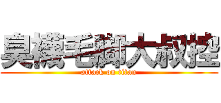 臭襪毛脚大叔控 (attack on titan)