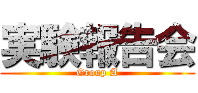 実験報告会 (Group A)