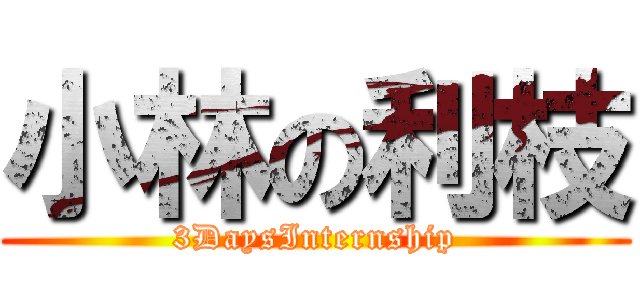 小林の利枝 (3DaysInternship)