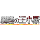 風騷の王小康 (attack on titan)