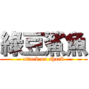 綠豆鯊魚 (attack on shark)